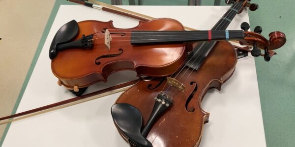 viol-600x300