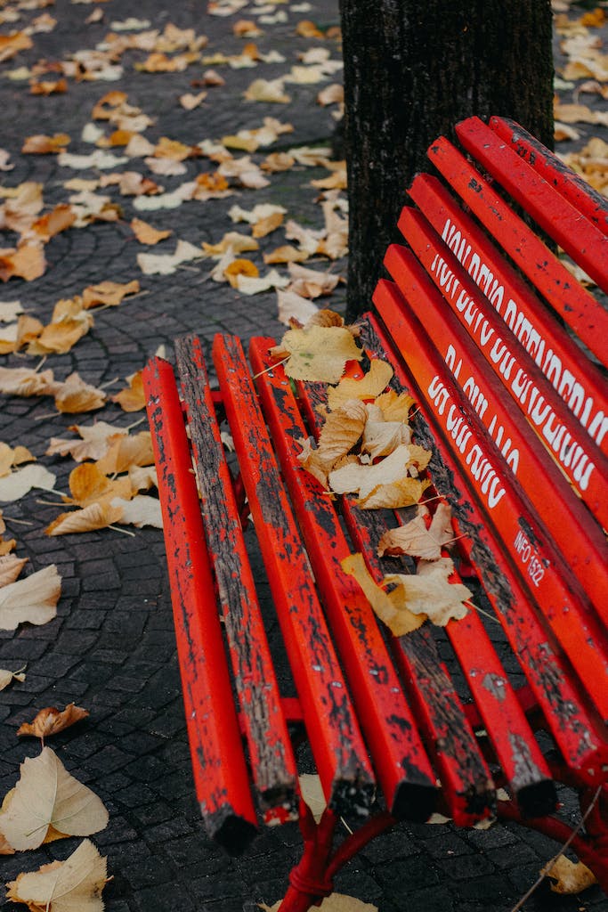 Autumn Leaves on Wooden Red Bench