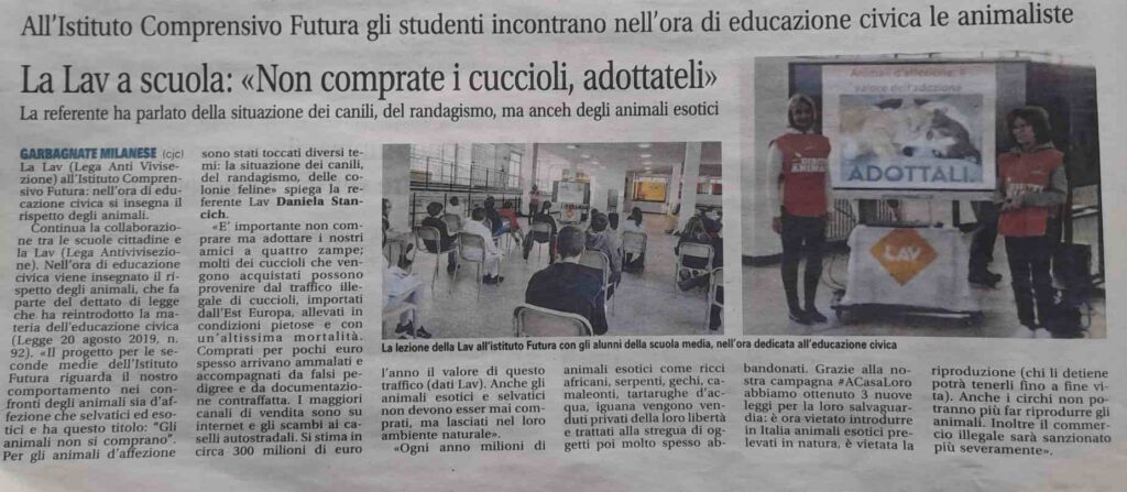 Articolo di giornale