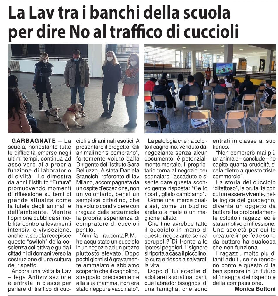 Articolo di giornale