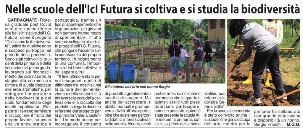 Articolo di giornale