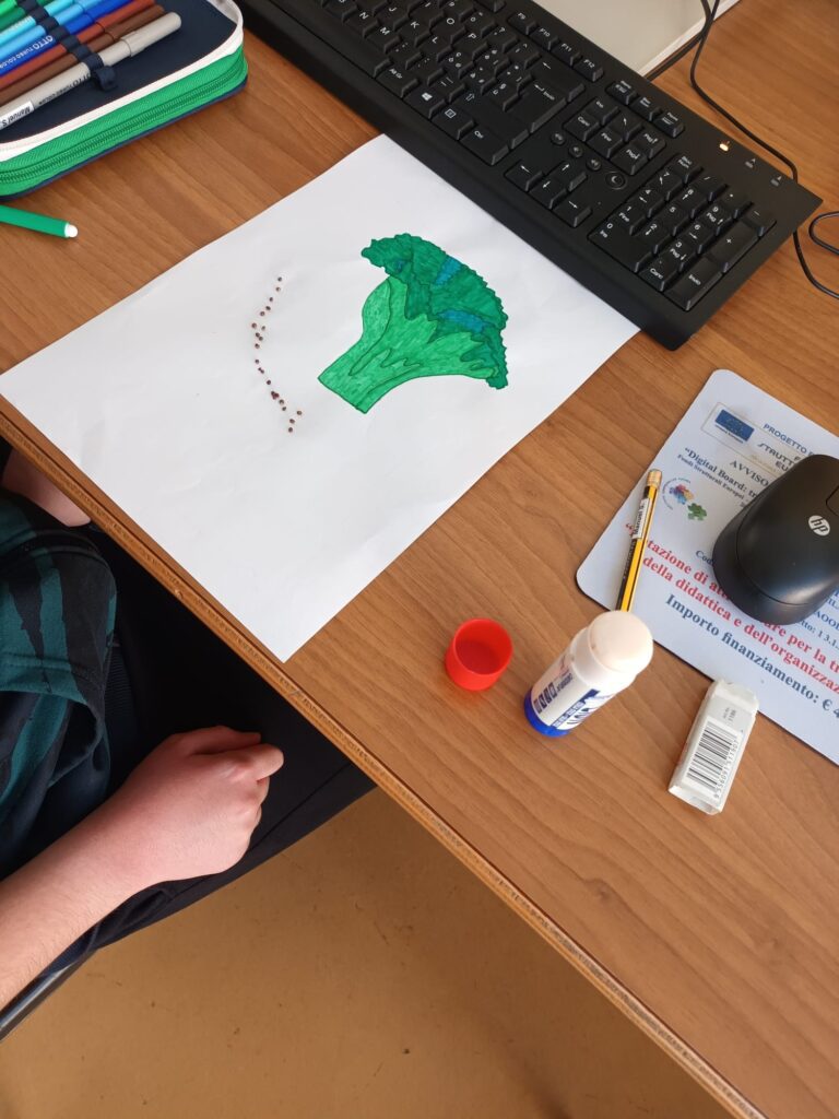 Progetto green school preparazione cartellone dei semi