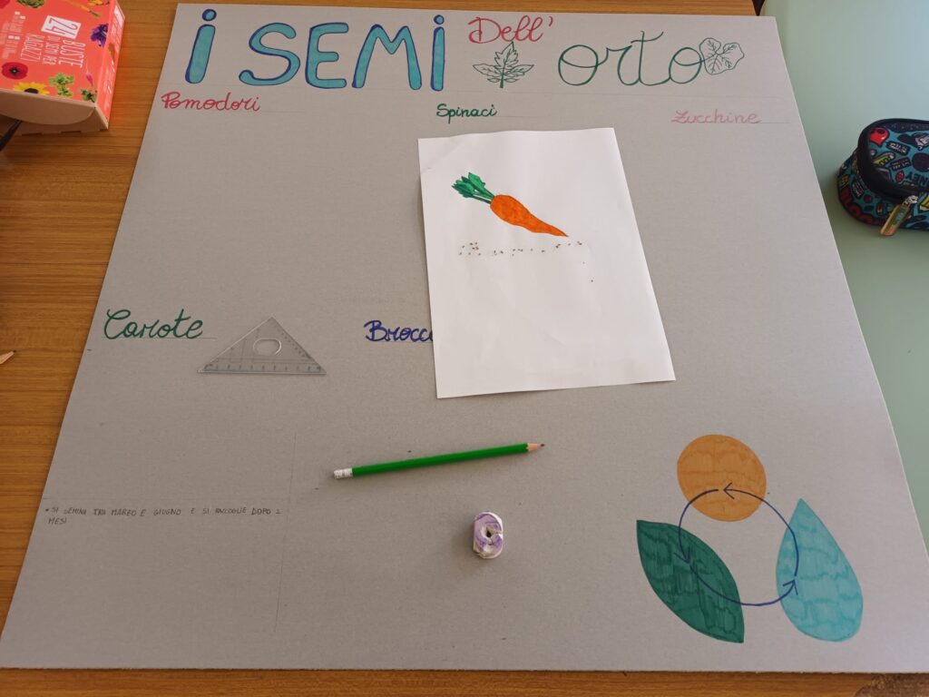 Progetto green school preparazione cartellone dei semi