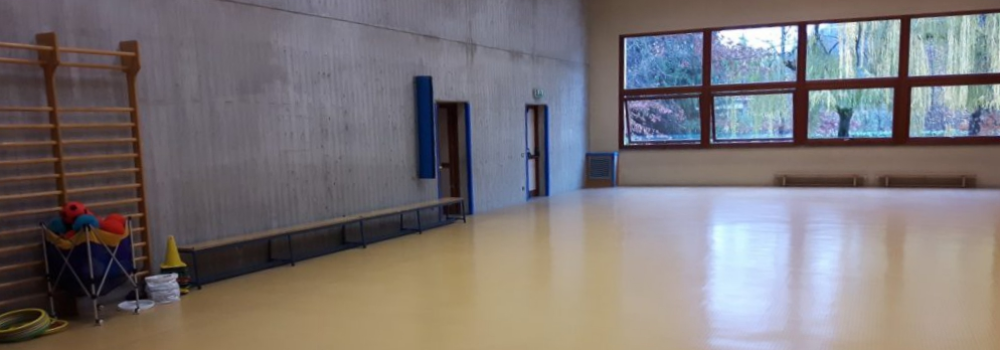 Palestra scuola primaria