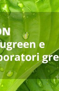 edugreen