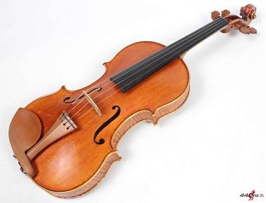 violino