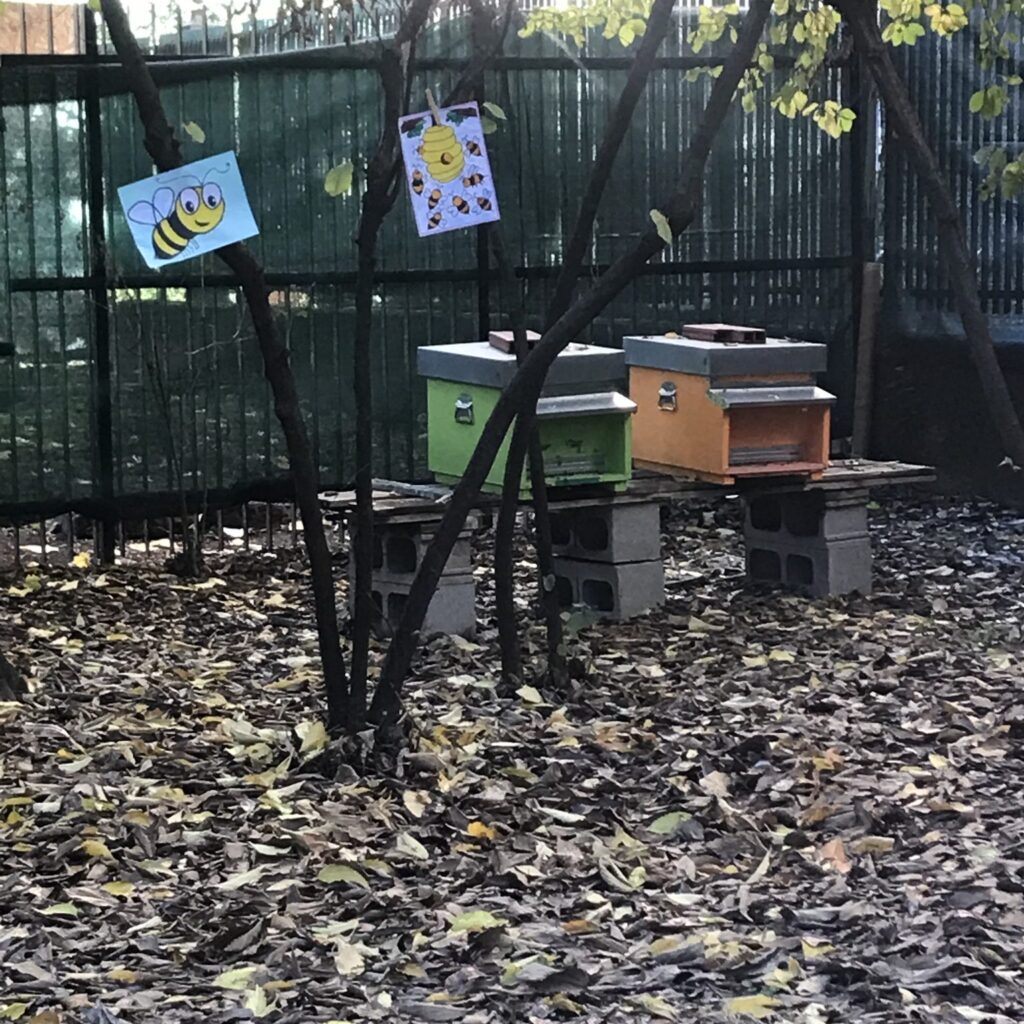 Scuola Primaria Cinque Giornate