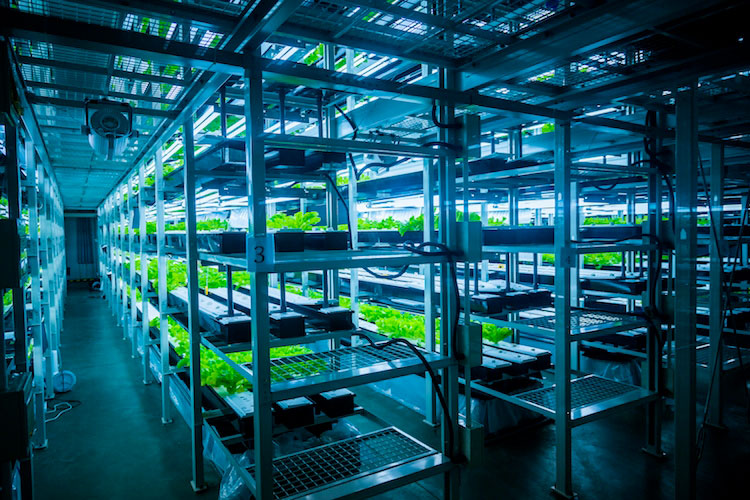 vertical farm