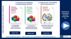 Pubblicazioni open access