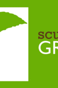 Scuole Green