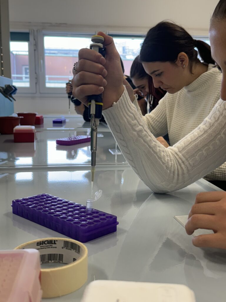 Le quinte Liceo di Rozzano al Cusmibio