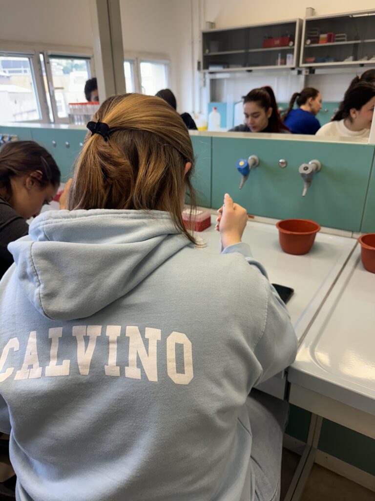 Le quinte Liceo di Rozzano al Cusmibio