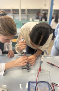 Le quinte Liceo di Rozzano al Cusmibio