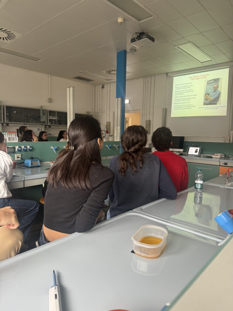 Le quinte Liceo di Rozzano al Cusmibio