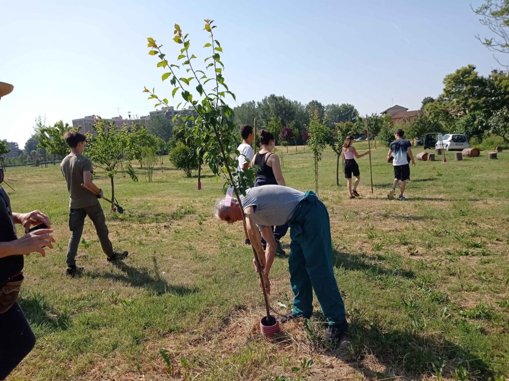 Percorso PCTO della 3A ITAG