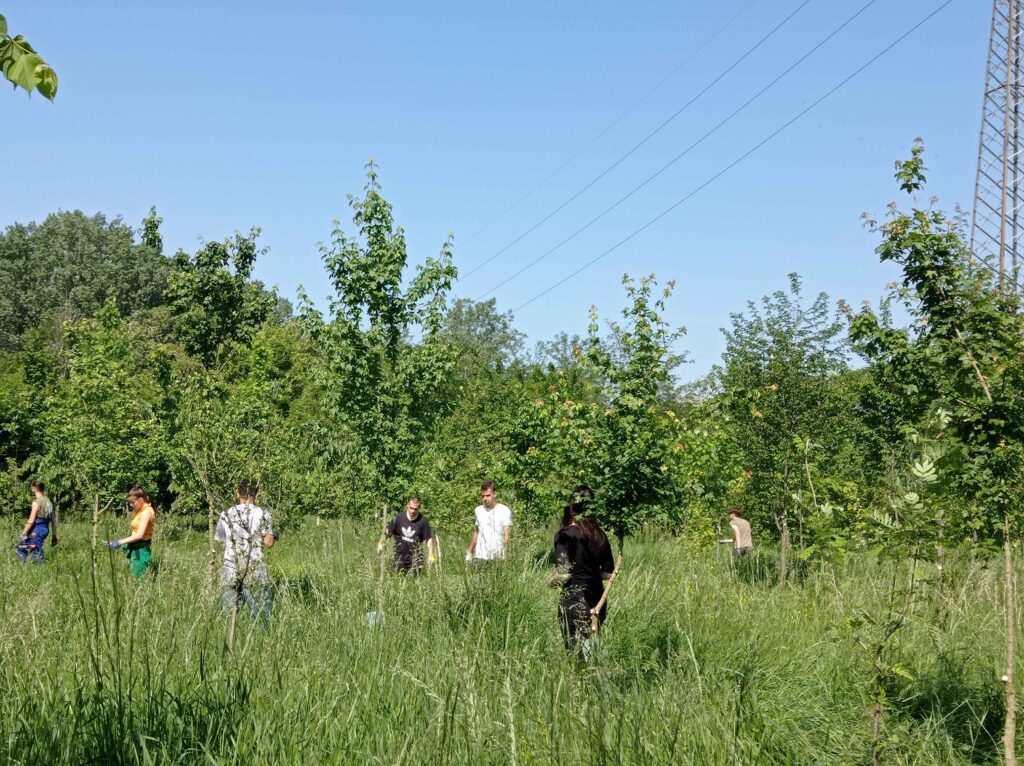 Percorso PCTO della 3A ITAG