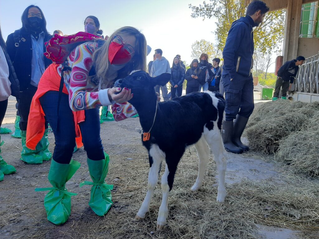 Uscita classi quinte ITAG in allevamento