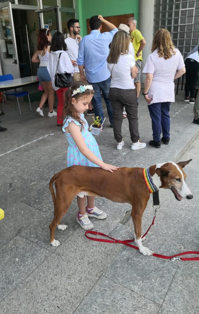 Festa di primavera a Noverasco