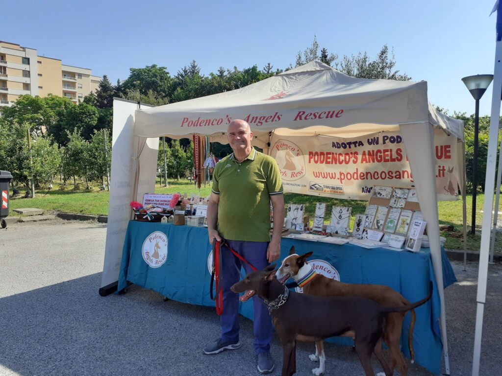 Festa di primavera a Noverasco