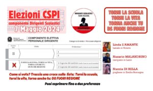 Elezioni del Consiglio Superiore della Pubblica Istruzione (CSPI)