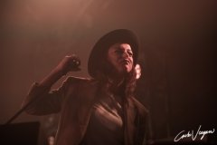 Baustelle live in Bologna