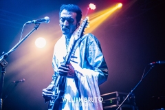 bombino-01