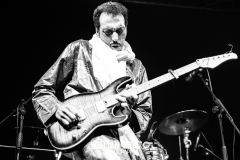 bombino-11