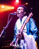 bombino-14