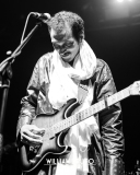 bombino-16