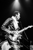 bombino-19