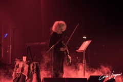 Angelo Branduardi live at Bologna