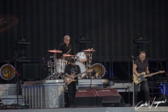 Bruce Springsteen live in Ferrara