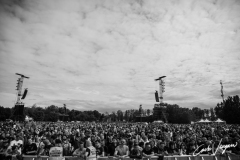 Bruce Springsteen live in Ferrara