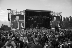 Bruce Springsteen live in Ferrara