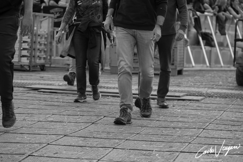 Bruce Springsteen live in Ferrara