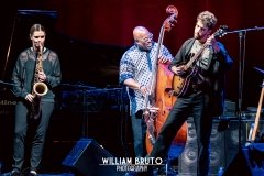 palestina-manifestazione-11