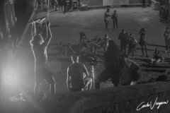 MG_1935