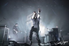 Editors live in Bologna