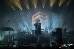 Editors live in Bologna