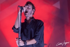 Editors live in Bologna