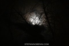 Eiffel-65-03.06.23-BG-27_Ph-stefaninobenni.com_