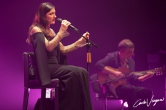 Elisa live in Bologna