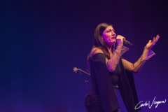 Elisa live in Bologna