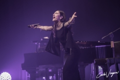 Elisa live in Bologna