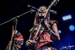 Fatoumata Diawara live Ferrara sotto le stelle 2023