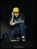 FEDEZ31