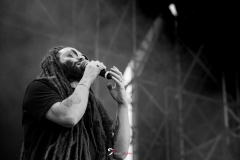 Alborosie-0041