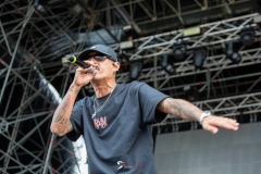 Noyz-Narcos_Home-Fest_13-07-19-0055