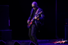 Joe Satriani live in Bologna