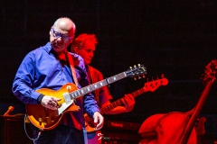 Knopfler_Arena_22-07-0132